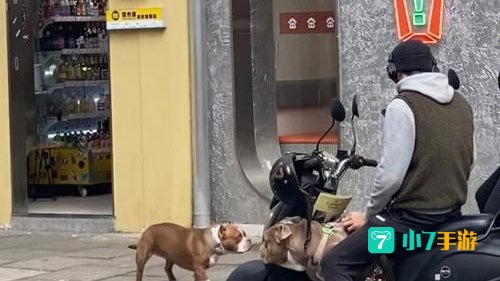 街头恶霸