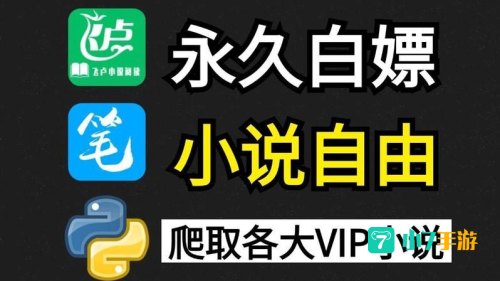 VIP小说
