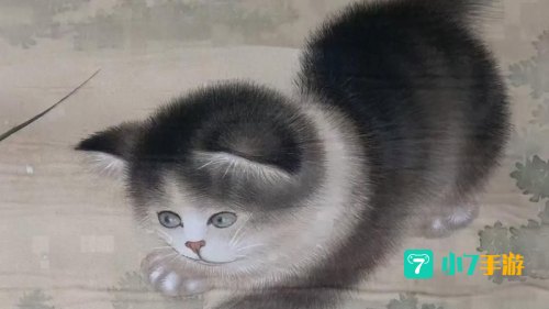 猫蝶相戏