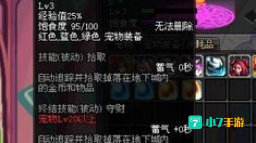 dnf亚米