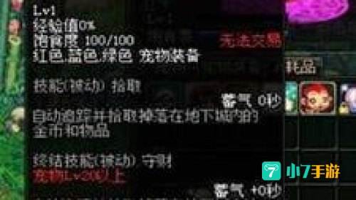 dnf亚米
